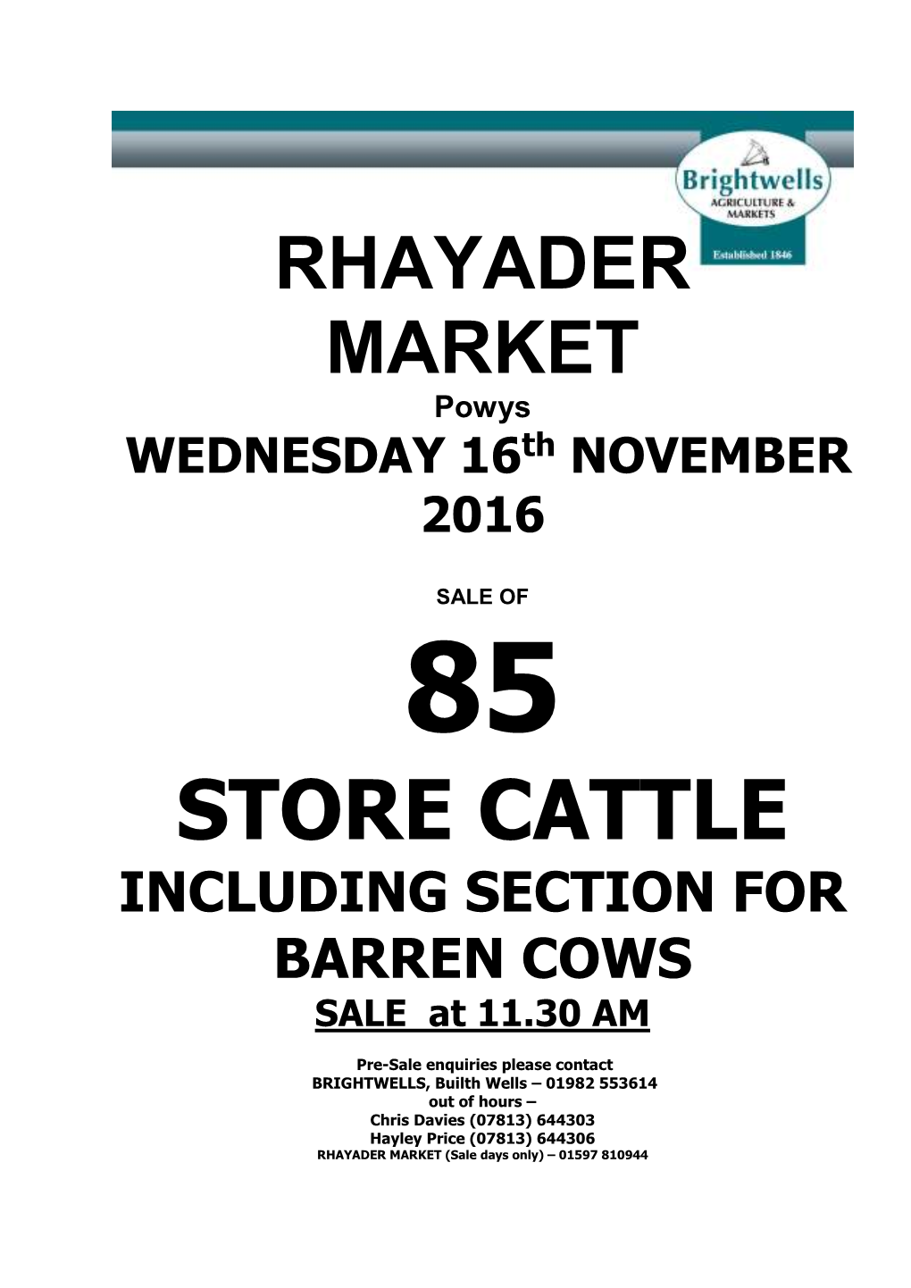 STORE CATTLE INCLUDING SECTION for BARREN COWS SALE at 11.30 AM