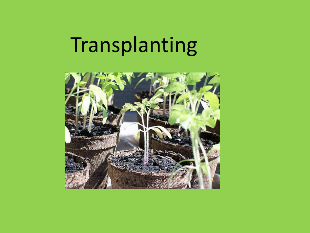 Transplanting Why Transplant?