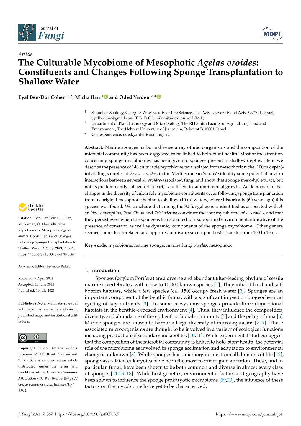 The Culturable Mycobiome of Mesophotic Agelas Oroides: Constituents and Changes Following Sponge Transplantation to Shallow Water