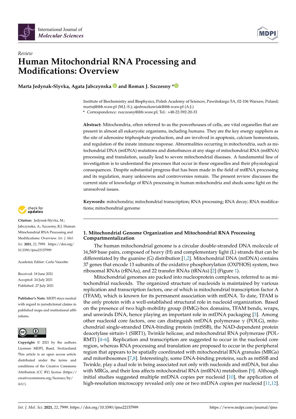 Human Mitochondrial RNA Processing and Modifications