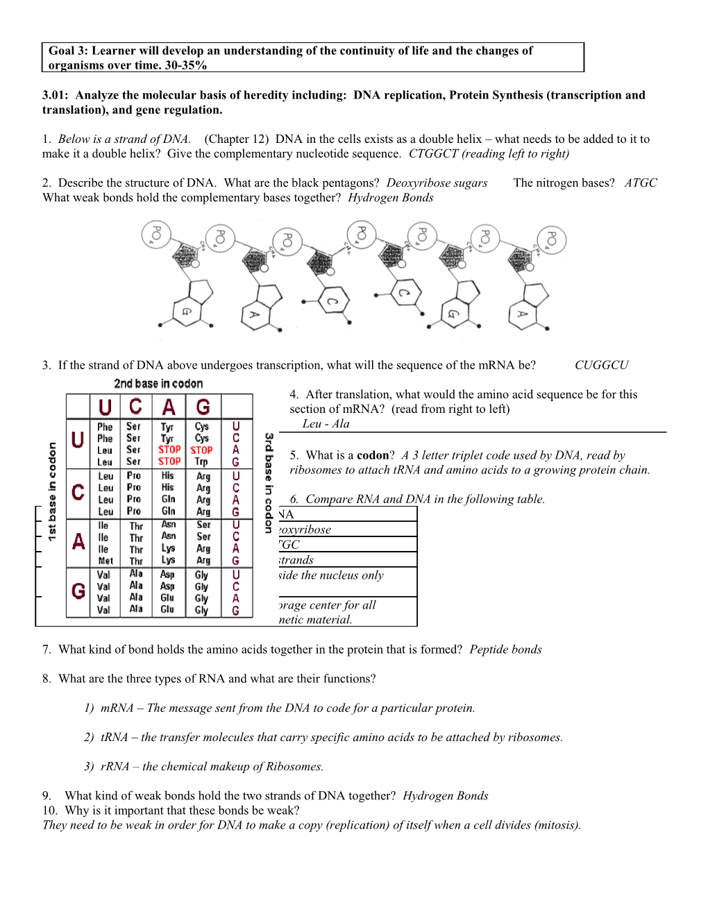 3.01: Analyze the Molecular Basis of Heredity Including: DNA Replication, Protein Synthesis