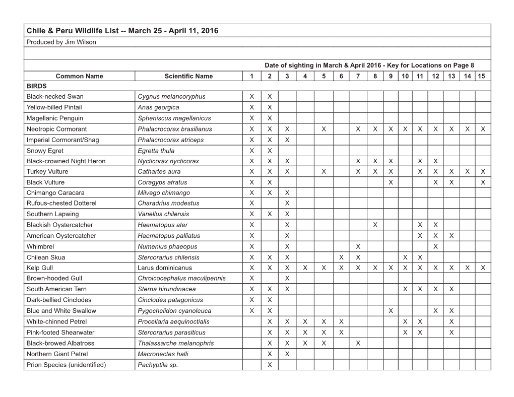 Chile & Peru Wildlife List -- March 25