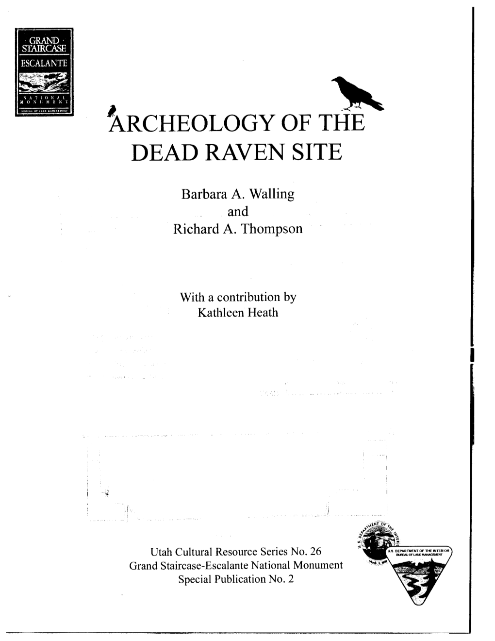 Archeology of the Dead Raven Site