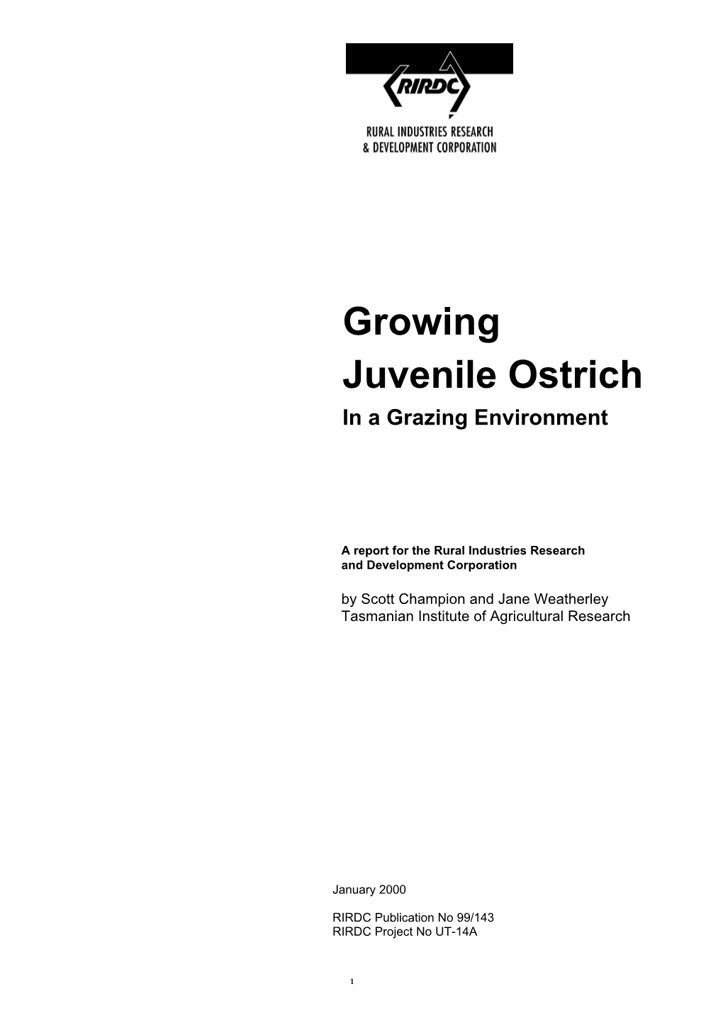 Growing Juvenile Ostrich