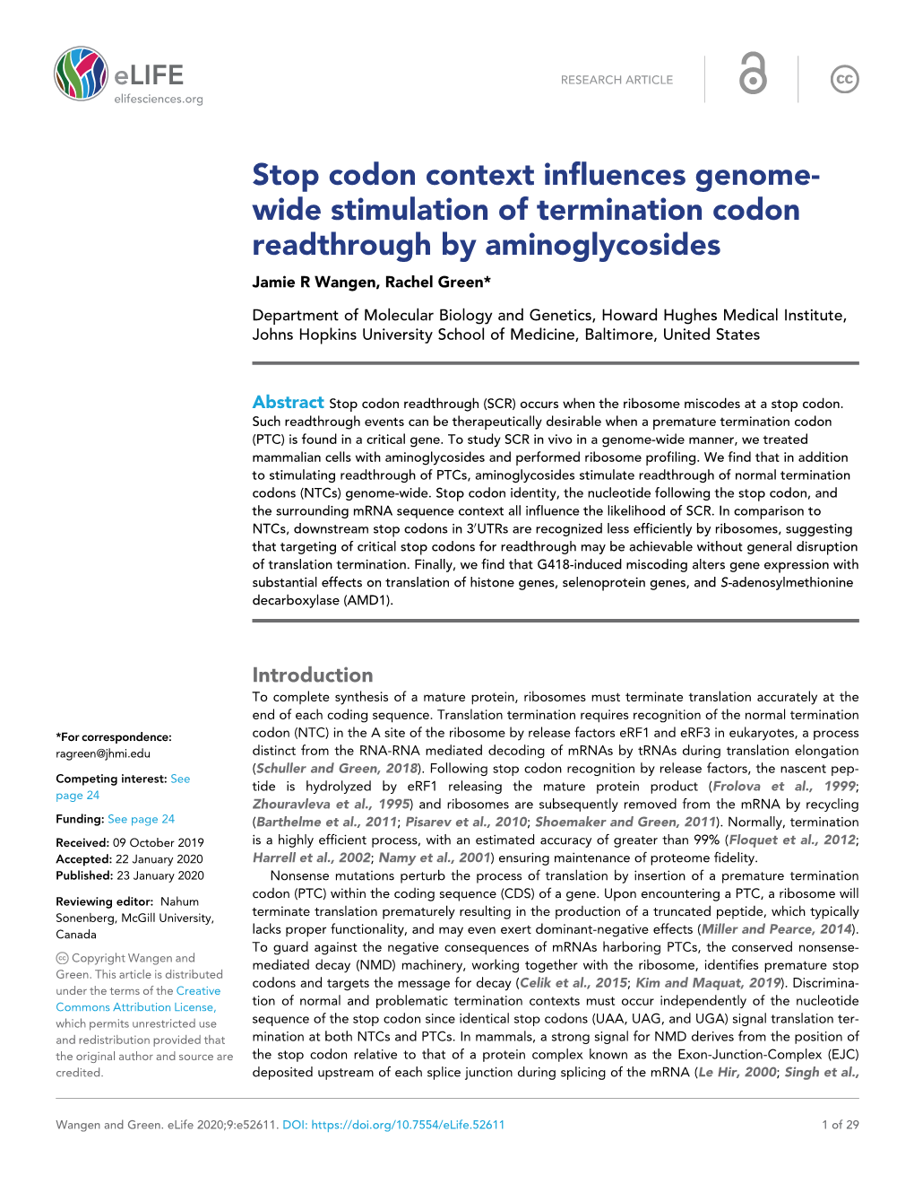 Wide Stimulation of Termination Codon Readthrough by Aminoglycosides Jamie R Wangen, Rachel Green*