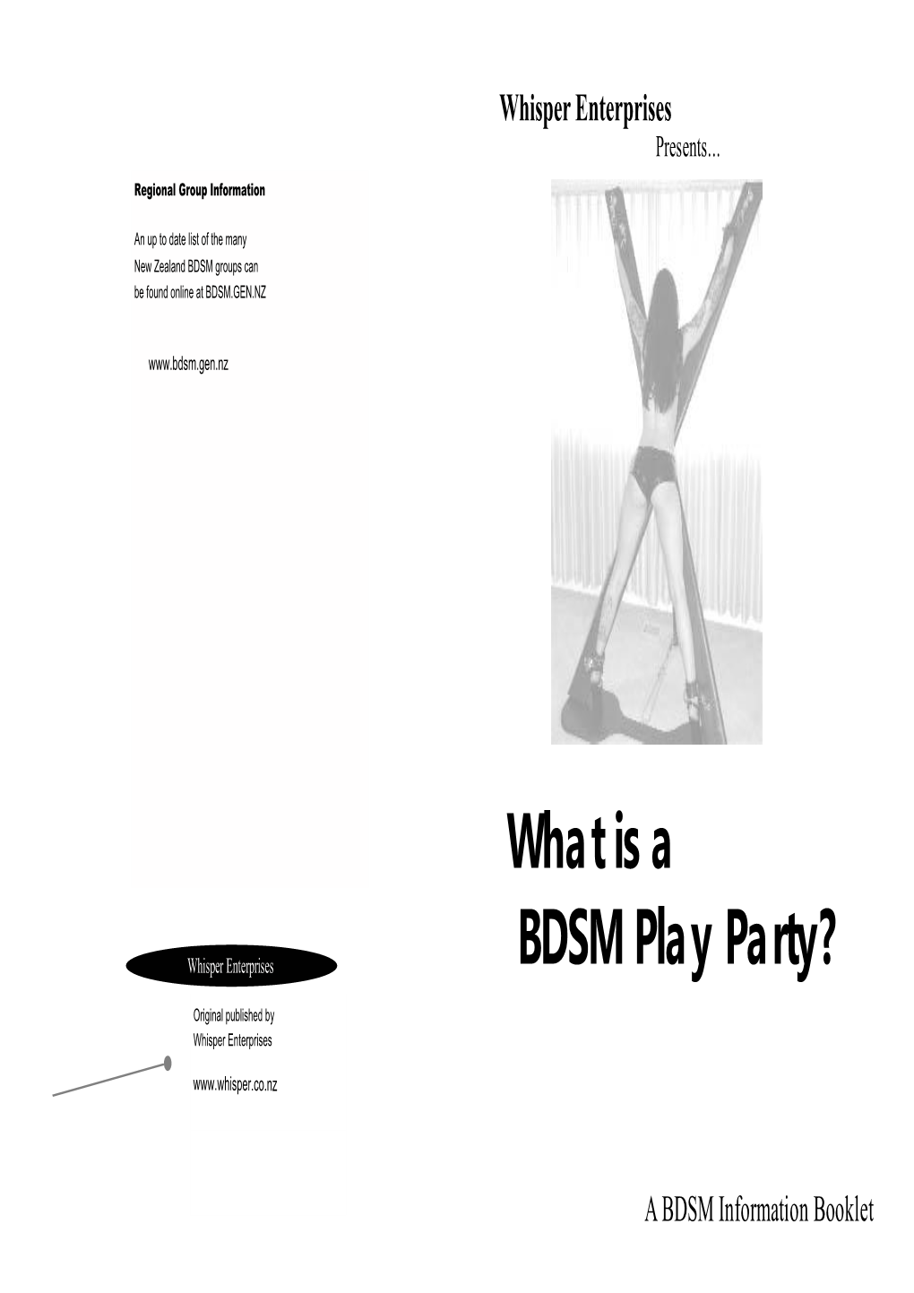 What Is a BDSM Play Party?