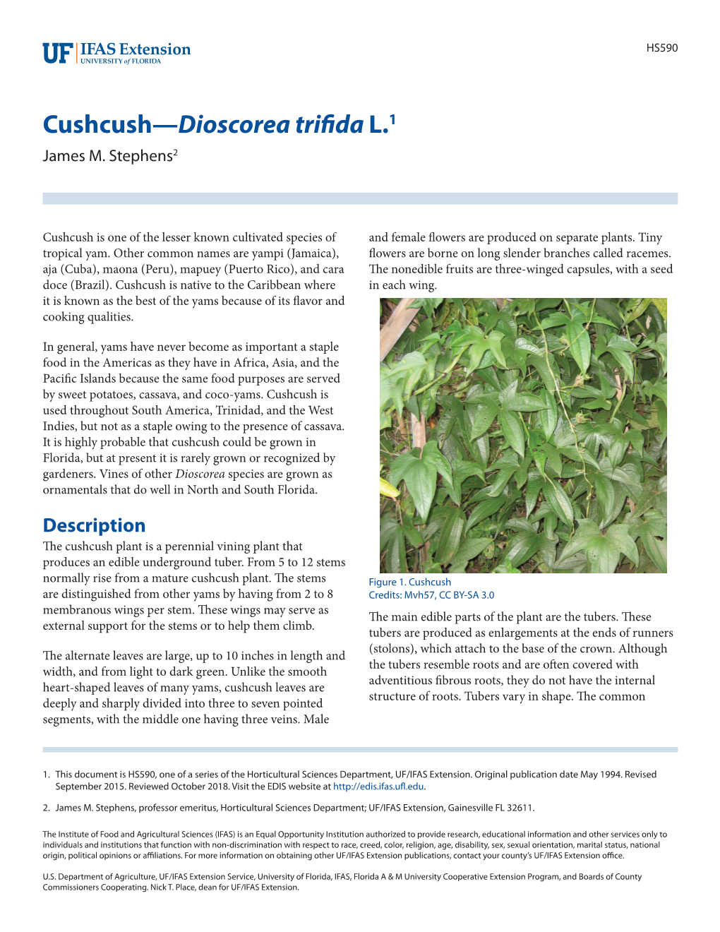 Cushcush—Dioscorea Trifidal