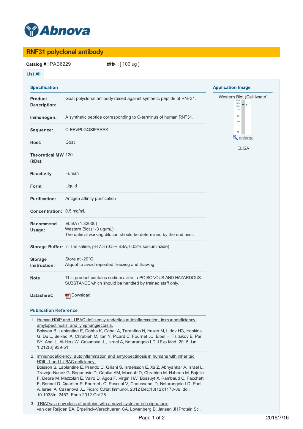 RNF31 Polyclonal Antibody