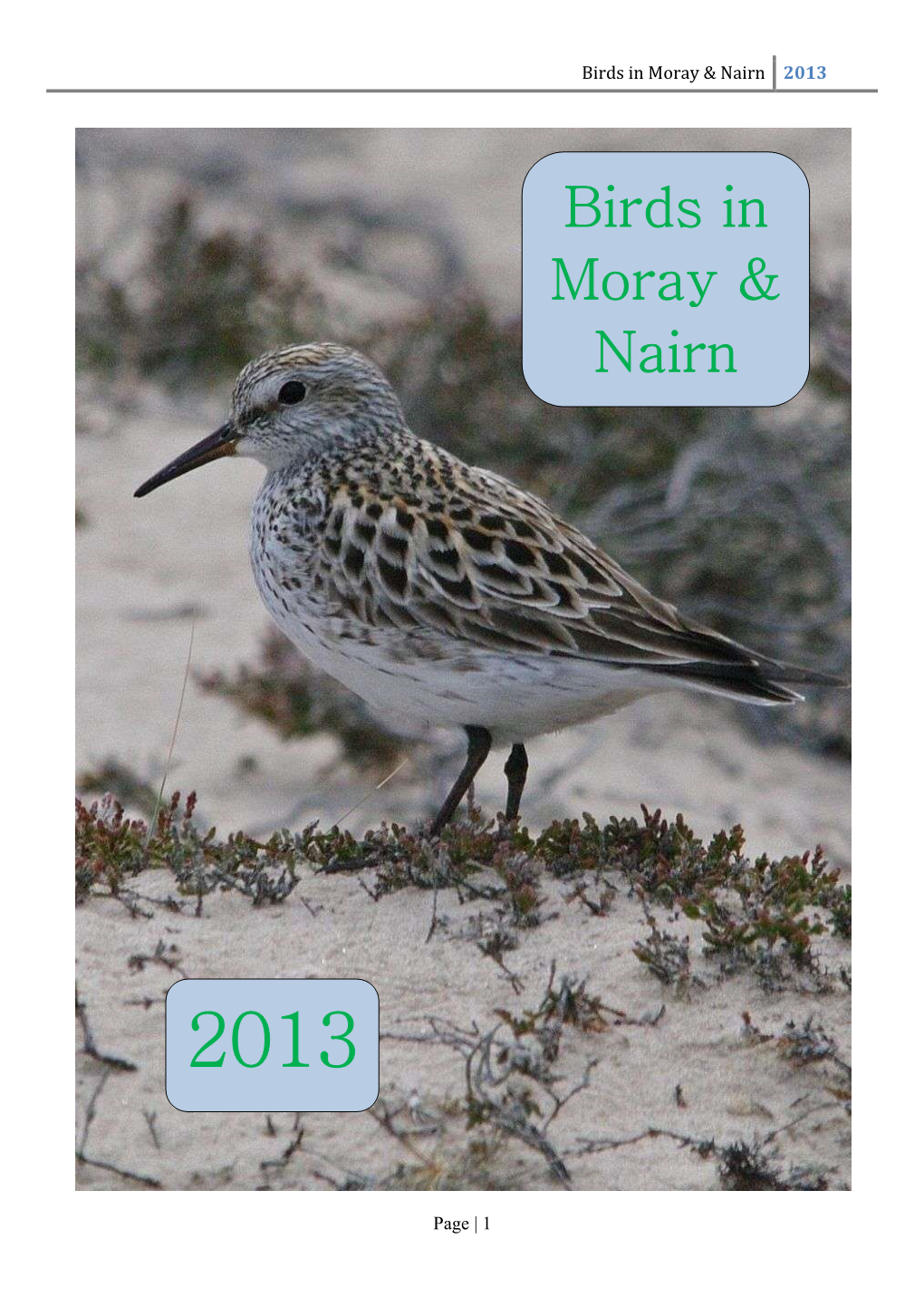 Birds in Moray & Nairn 2013