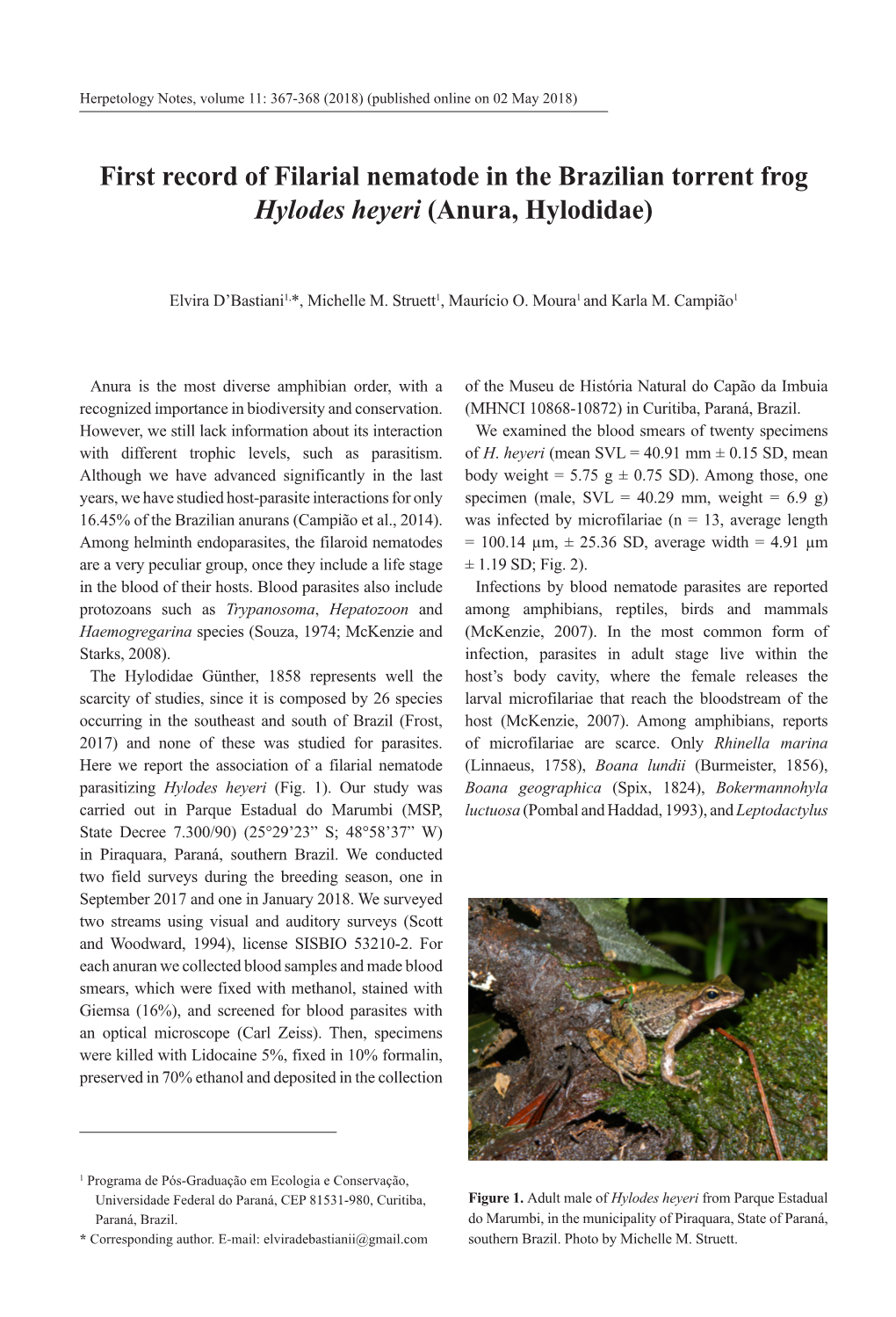 First Record of Filarial Nematode in the Brazilian Torrent Frog Hylodes Heyeri (Anura, Hylodidae)