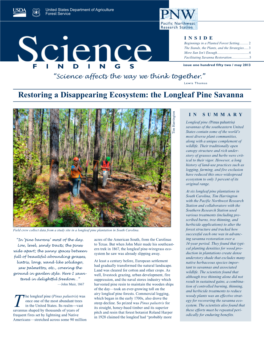 The Longleaf Pine Savanna