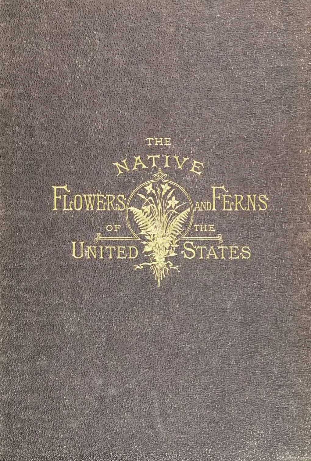 The Native Flowers and Ferns of the United States in Their Botanical