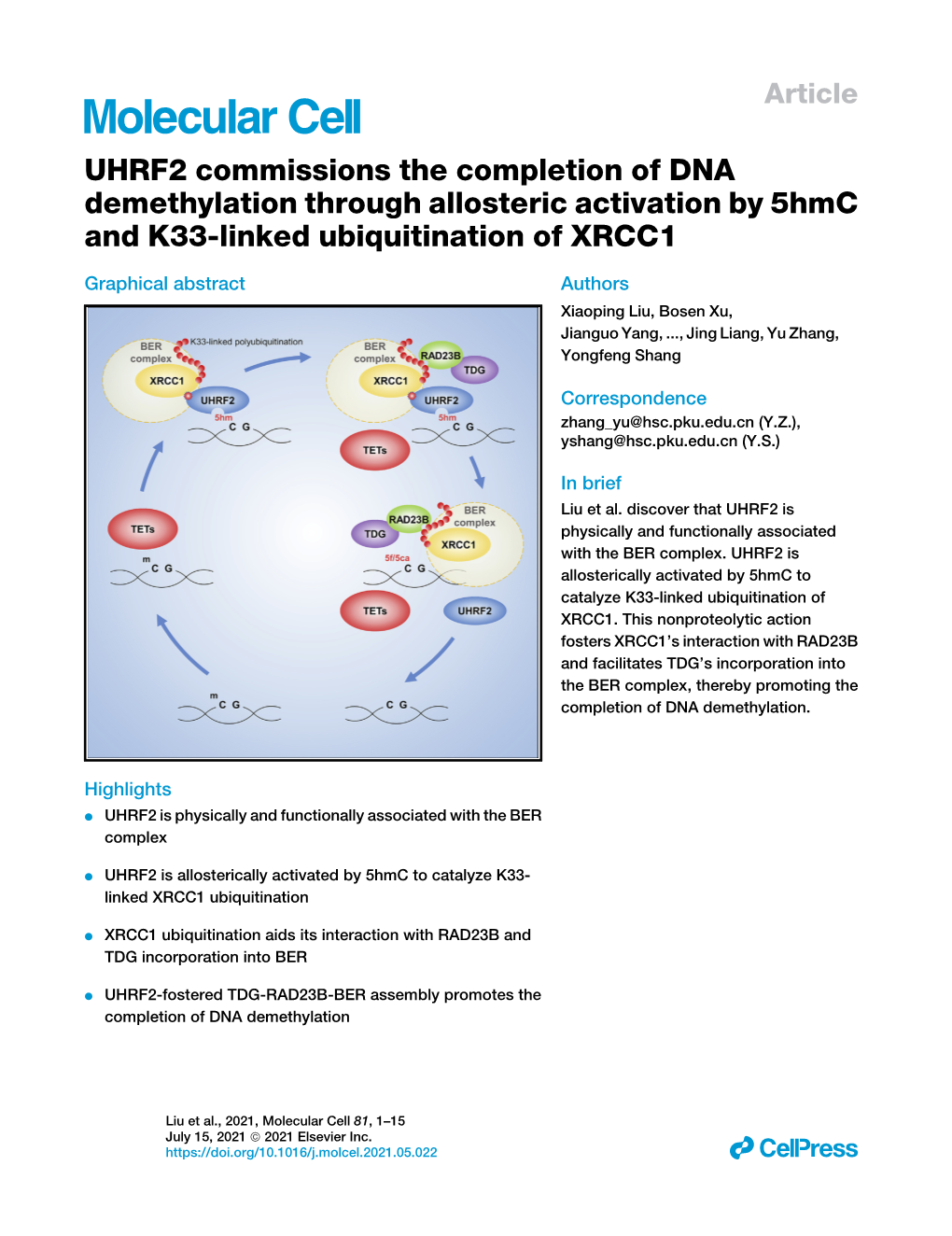 UHRF2 Commissions the Completion of DNA Demethylation Through Allosteric Activation by 5Hmc and K33-Linked Ubiquitination of XRCC1