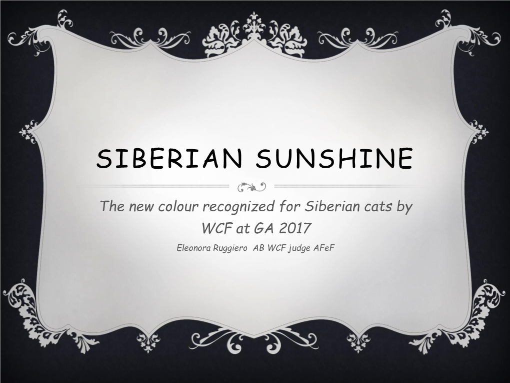 Siberian Sunshine