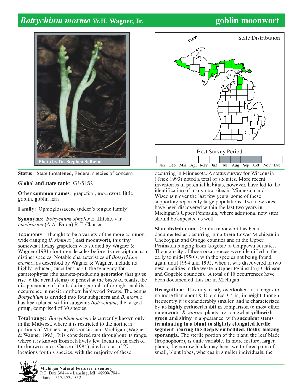 Botrychium Mormo W.H