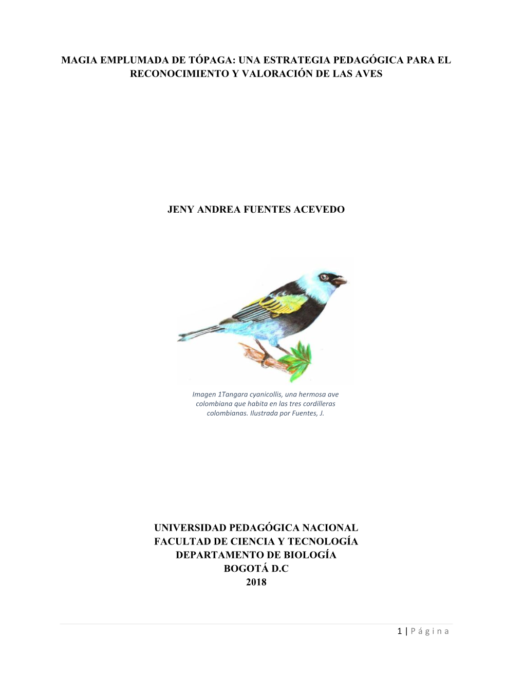 Magia Emplumada De Tópaga: Una Estrategia Pedagógica Para El Reconocimiento Y Valoración De Las Aves