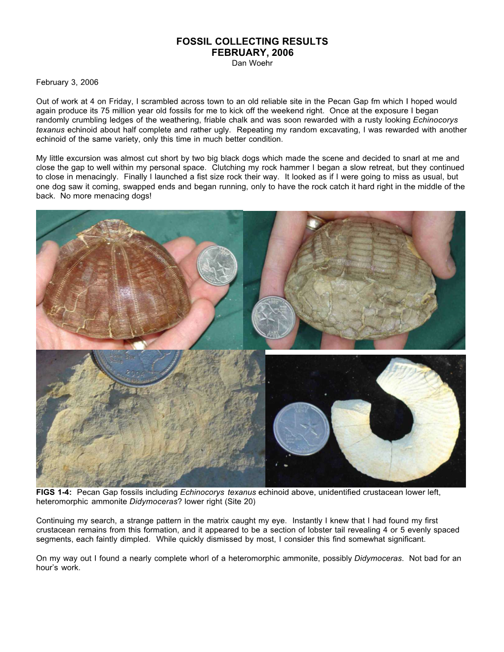 FOSSIL COLLECTING RESULTS FEBRUARY, 2006 Dan Woehr