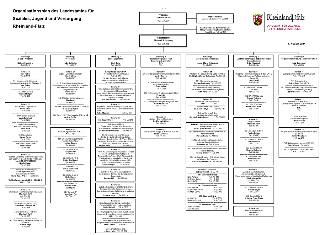 Organisationsplan Des LSJV