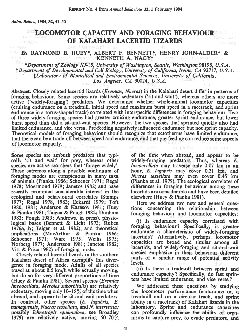 Locomotor Capacity and Foraging Behawour of Kalahari Lacertiq Lizards