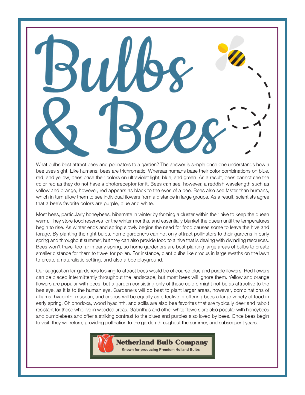 What Bulbs Best Attract Bees and Pollinators to a Garden? the Answer Is Simple Once One Understands How a Bee Uses Sight