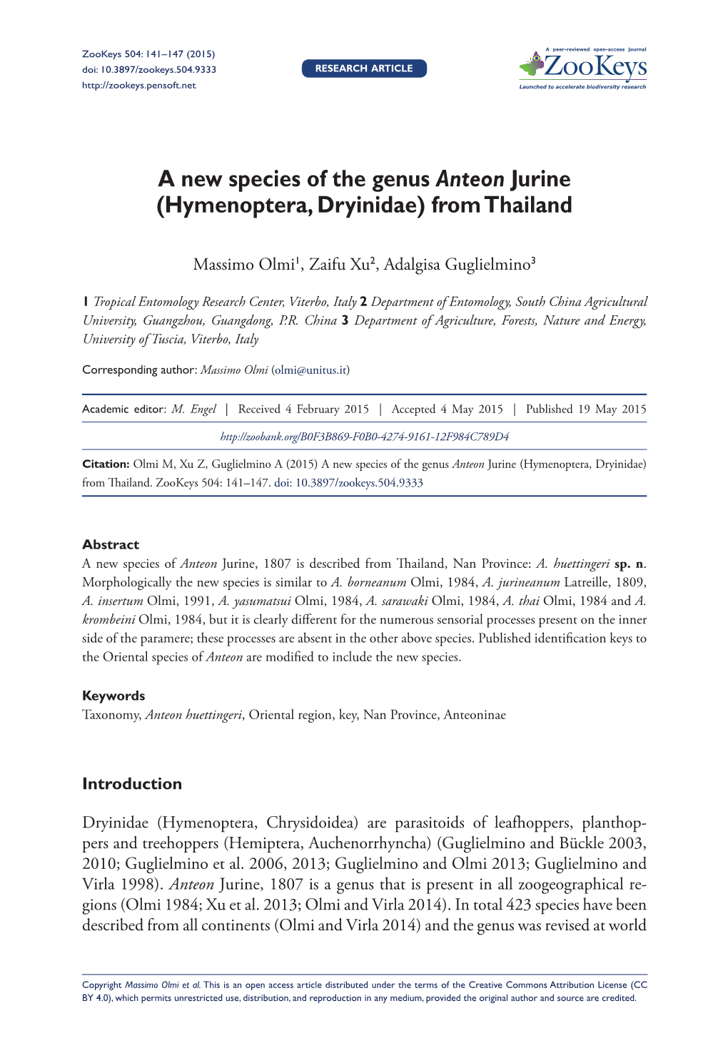 ﻿A New Species of the Genus Anteon Jurine (Hymenoptera, Dryinidae