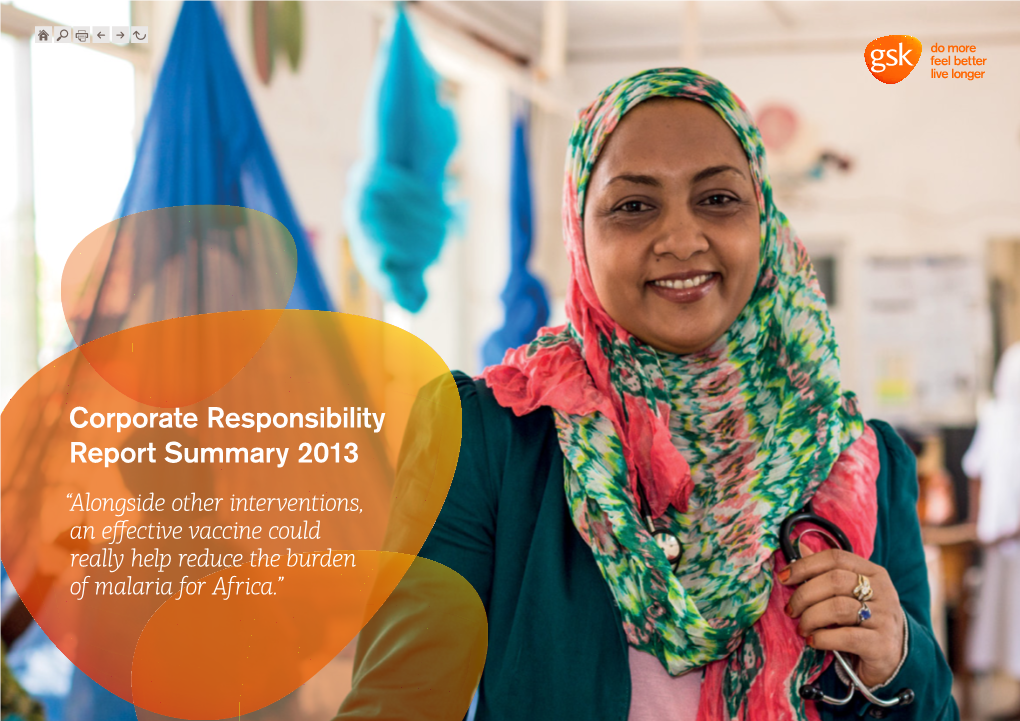 Corporate Responsibility Report Summary 2013