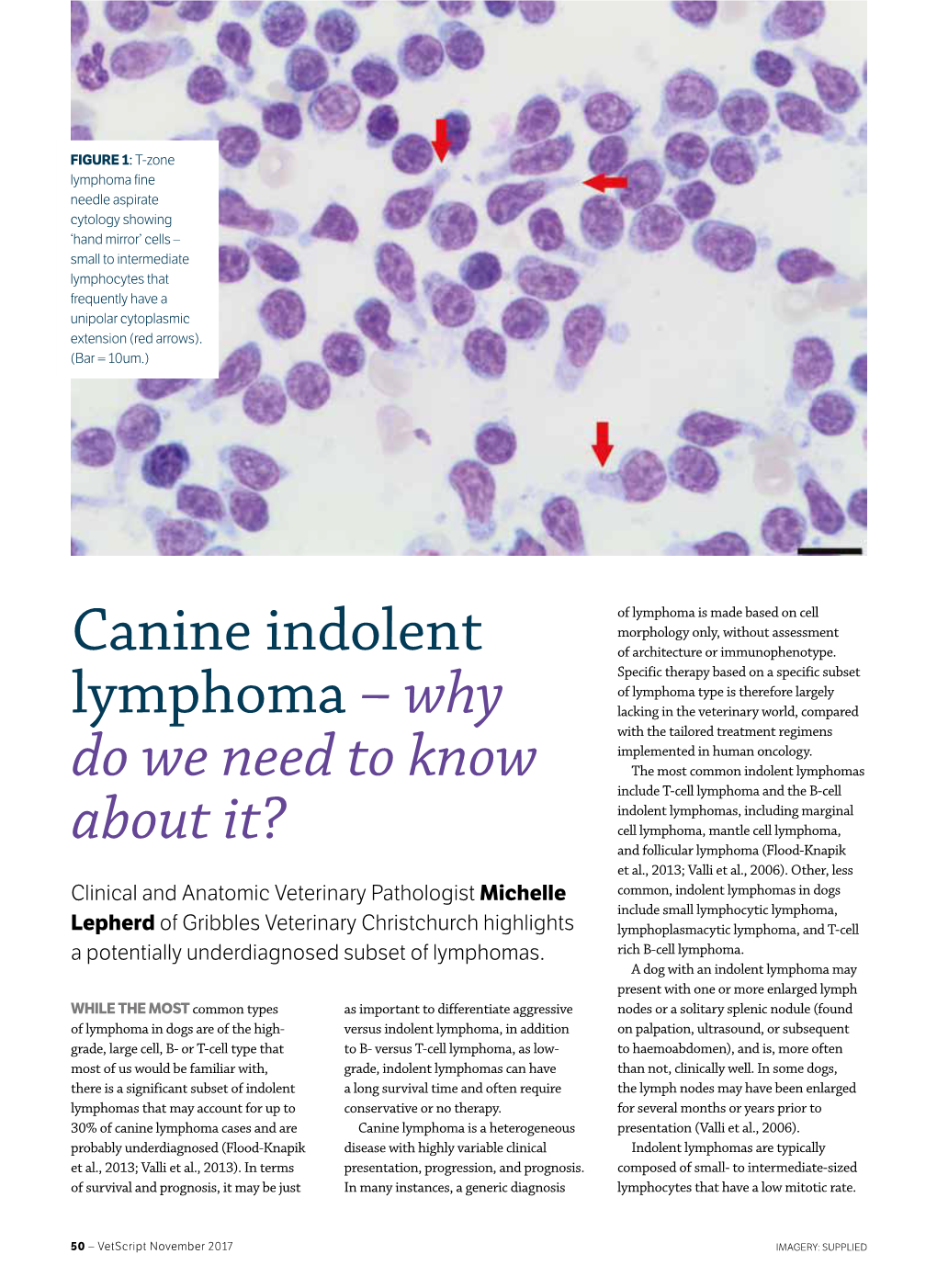 Canine Indolent Lymphoma – Why Do We Need to Know About