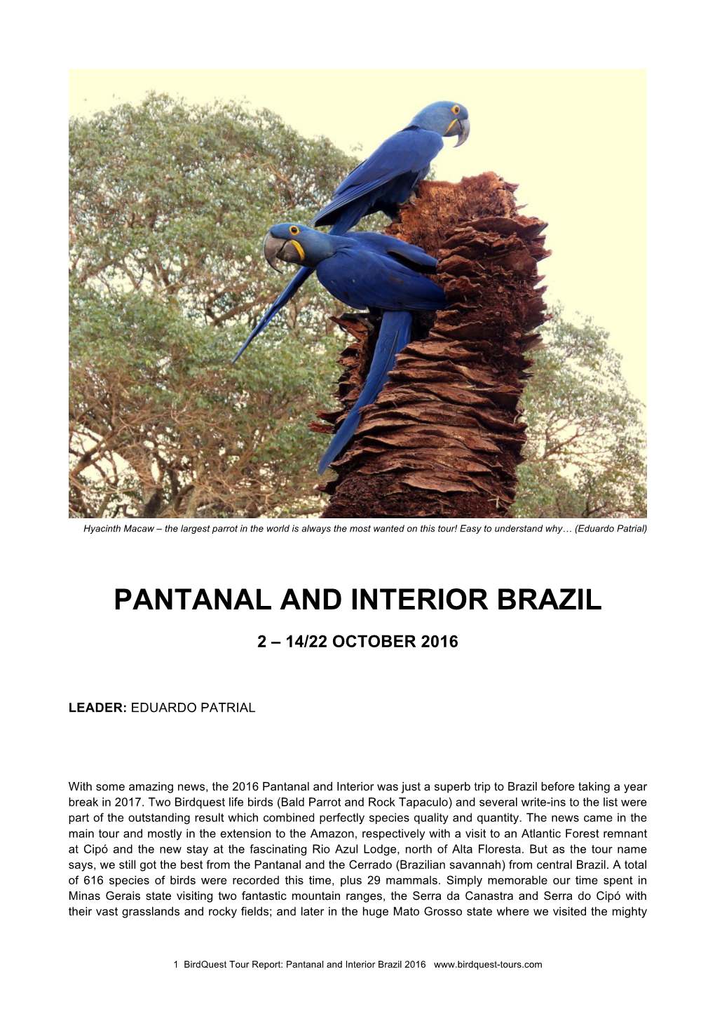 Pantanal and Interior Brazil