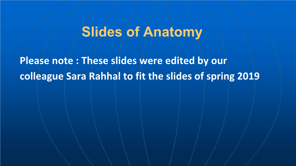 Slides of Anatomy