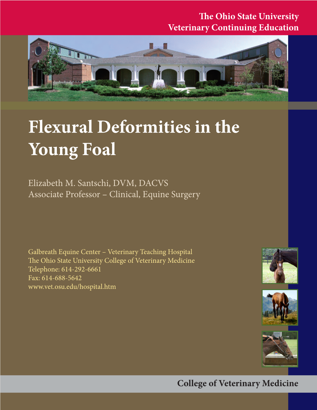 Flexural Deformities in the Young Foal