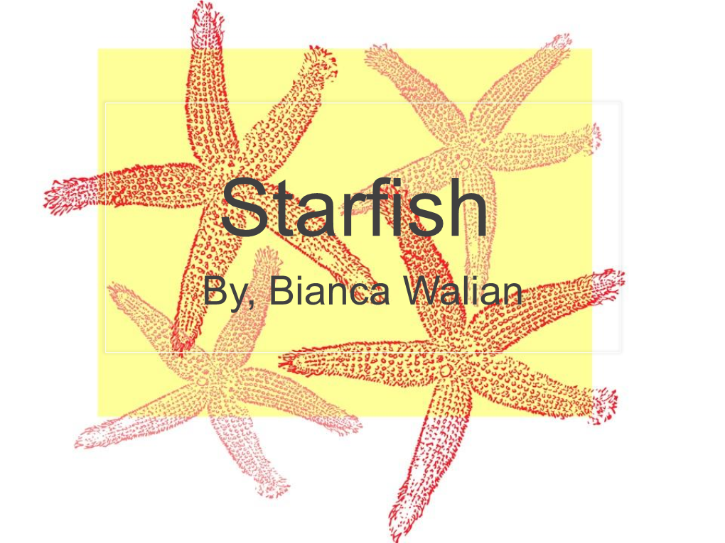 Starfish By, Bianca Walian Starfish A.K.A