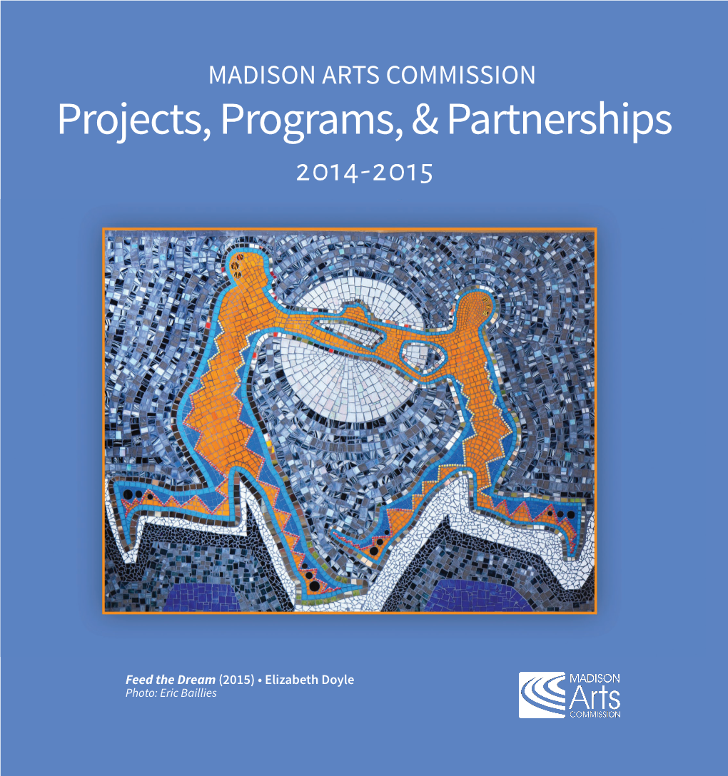 Projects, Programs, & Partnerships