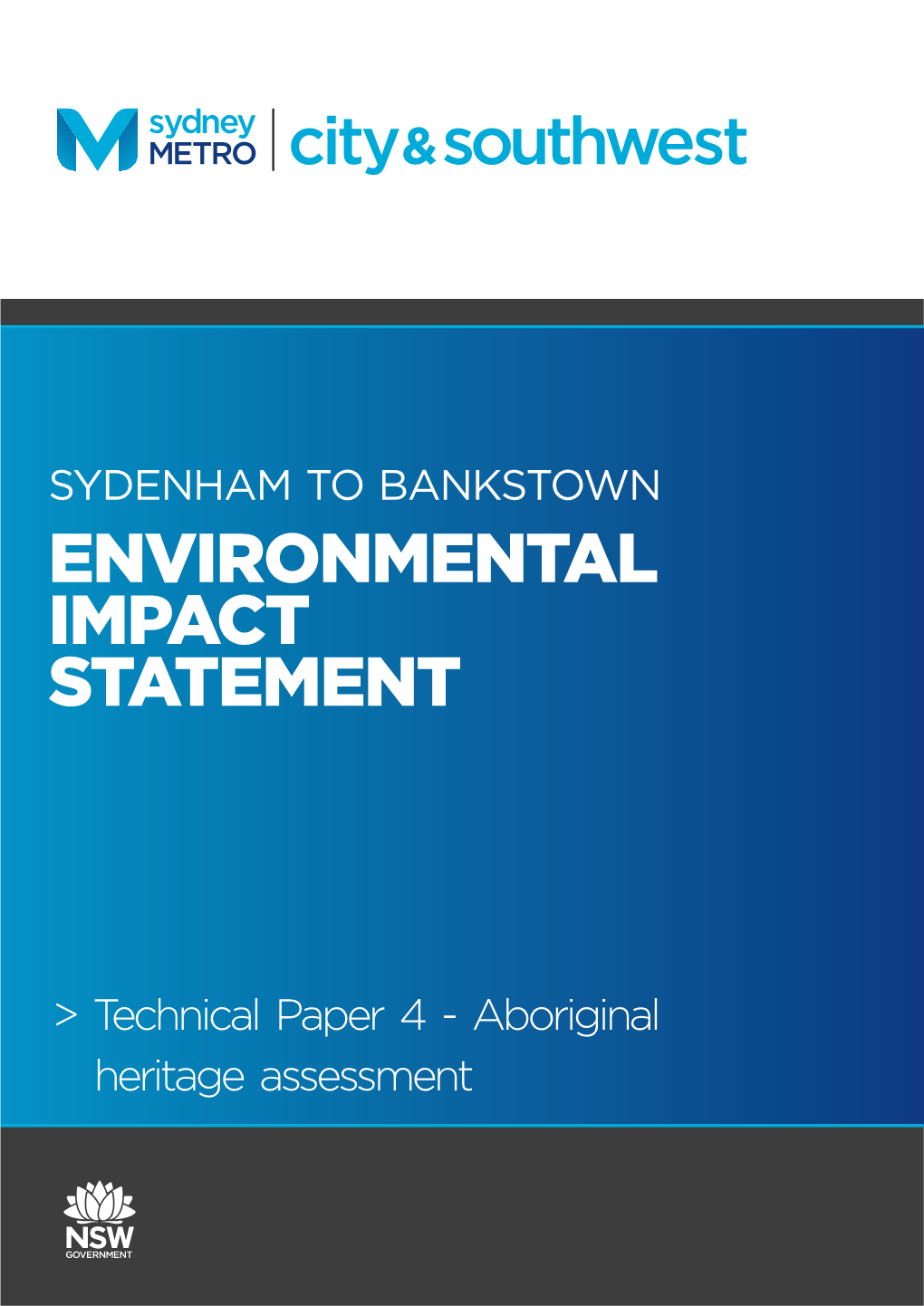 Environmental Impact Statement