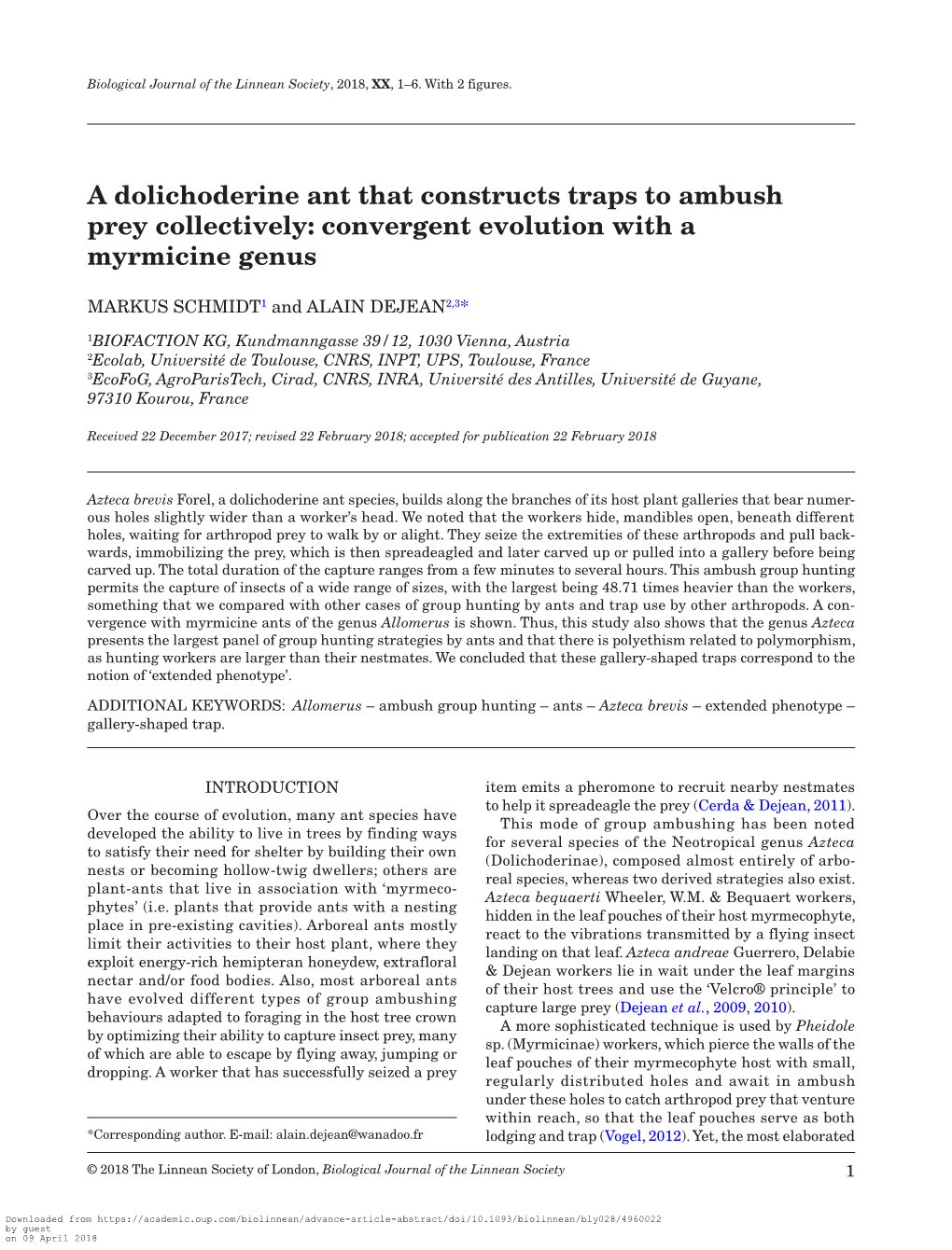 A Dolichoderine Ant That Constructs Traps to Ambush Prey Collectively: Convergent Evolution with a Myrmicine Genus