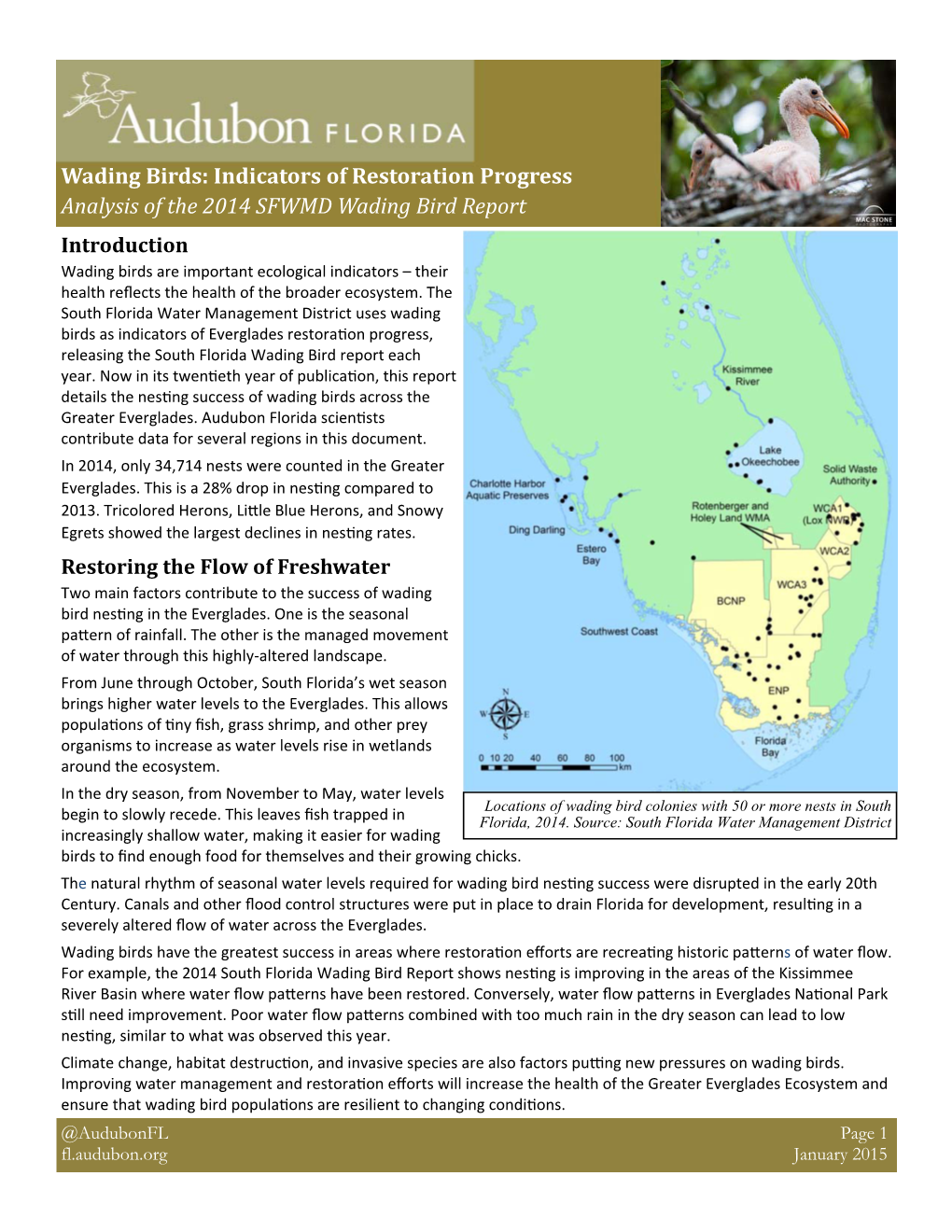 Analysis of the 2014 SFWMD Wading Bird Report Introduction Wading Birds Are Important Ecological Indicators – Their Health Reﬂects the Health of the Broader Ecosystem