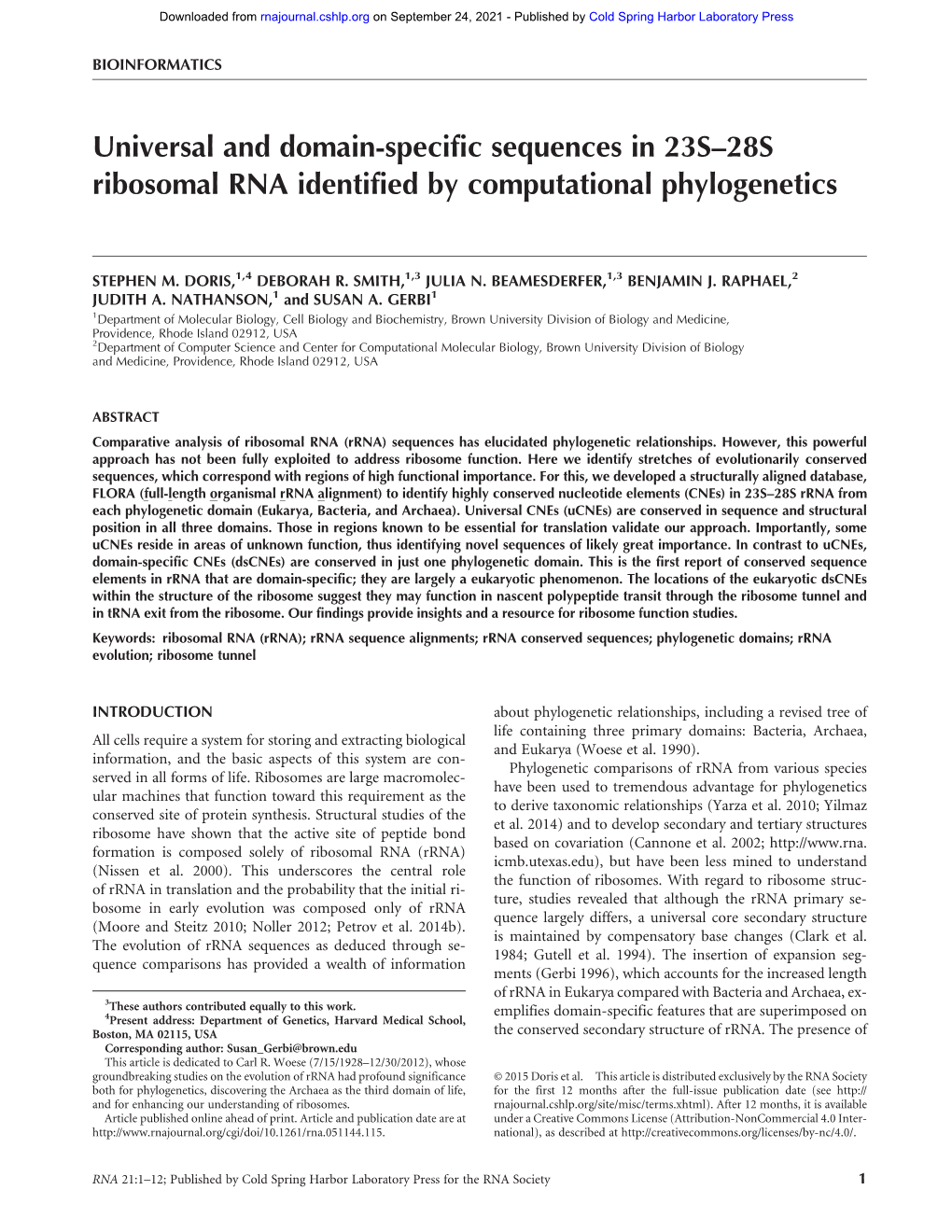 Universal and Domain-Specific Sequences in 23S–28S Ribosomal RNA Identified by Computational Phylogenetics