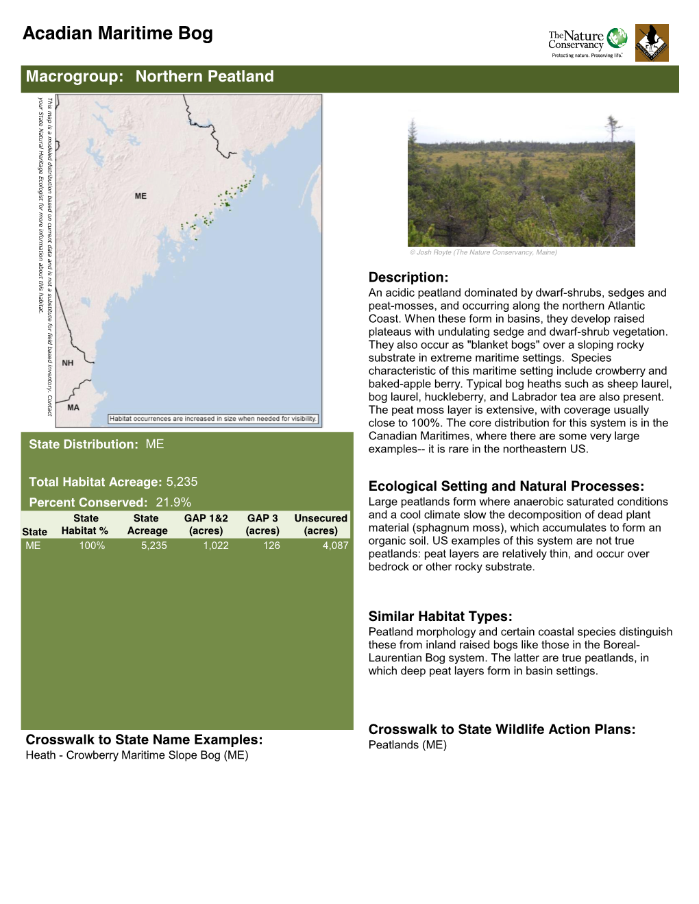 Acadian Maritime Bog