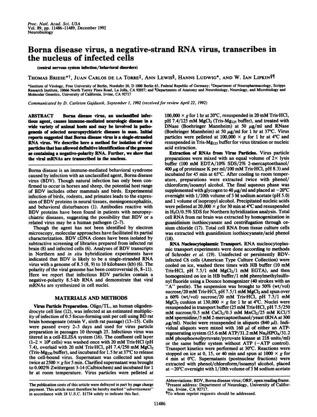 Borna Disease Virus, a Negative-Strand RNA Virus