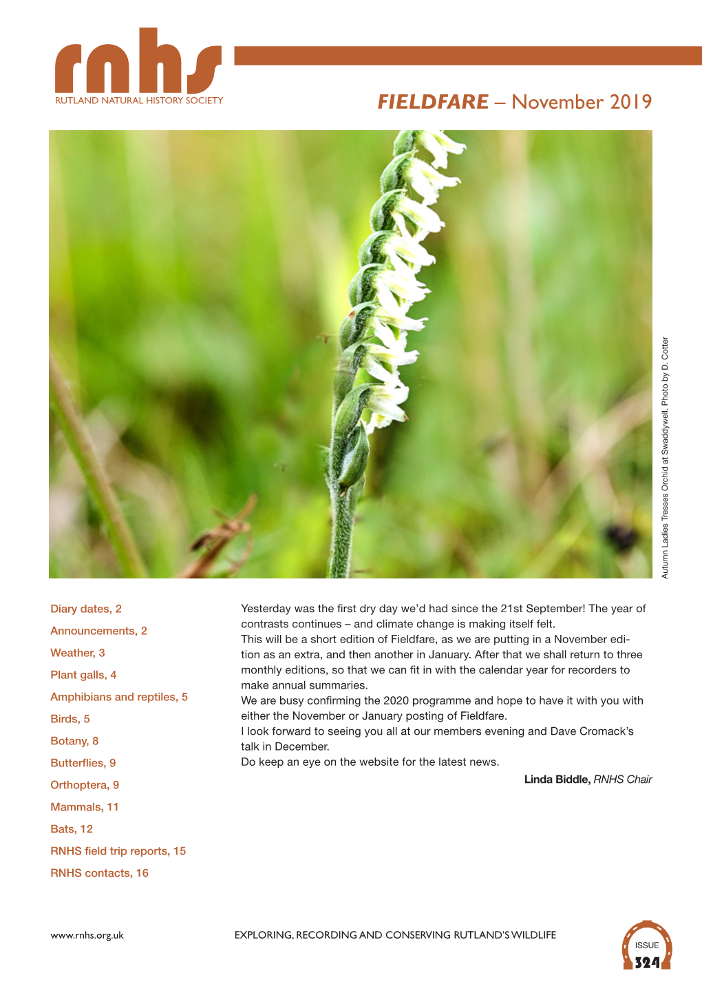 FIELDFARE – November 2019 Autumn Ladies Tresses Orchid at Swaddywell