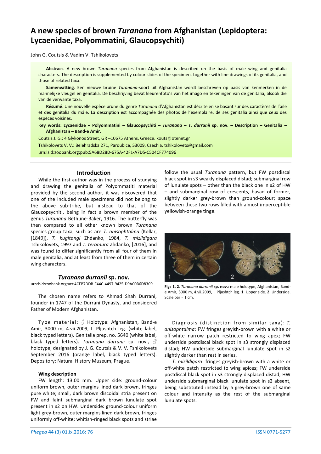 A New Species of Brown Turanana from Afghanistan (Lepidoptera: Lycaenidae, Polyommatini, Glaucopsychiti)