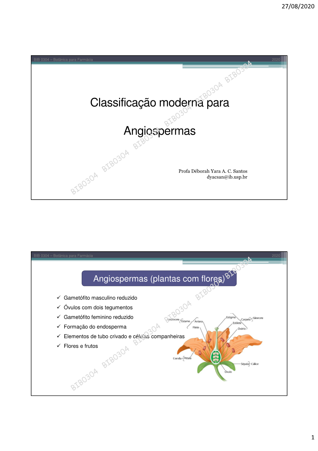 Classificação Moderna Para Angiospermas