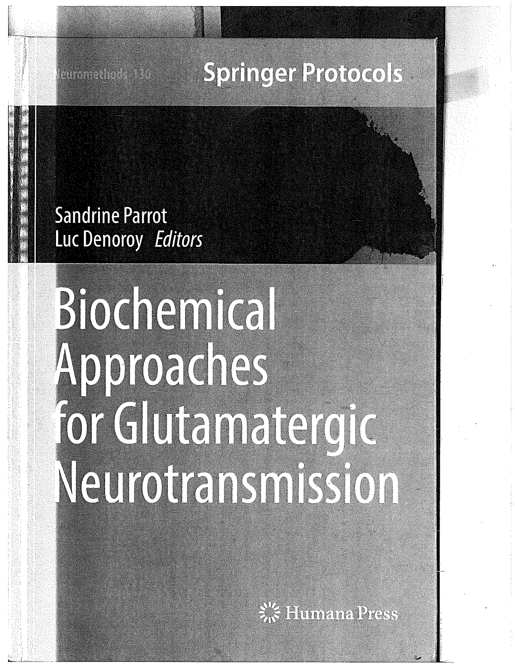 Chapter-Glutamatergic Nmjs-2017.Pdf