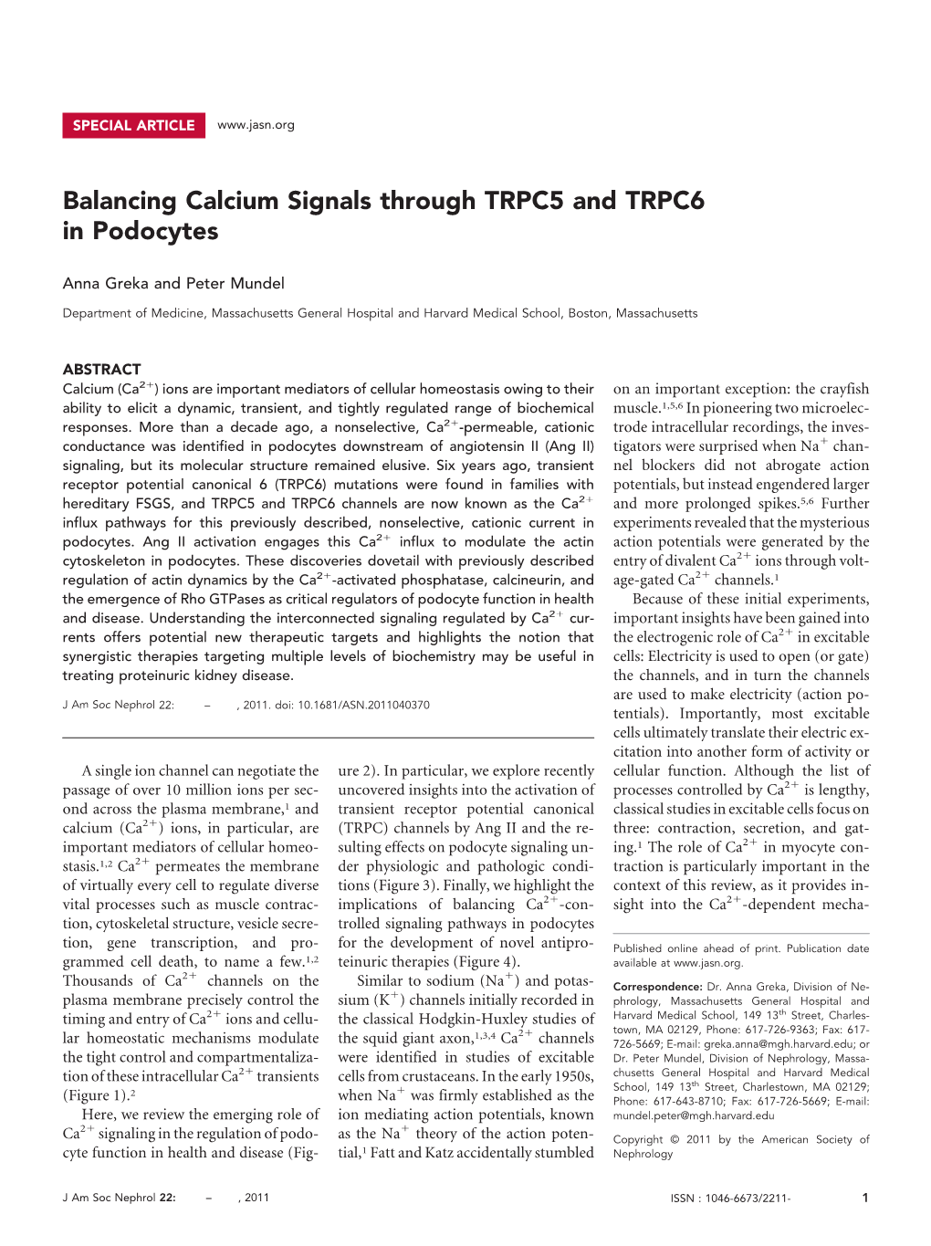 Balancing Calcium Signals Through TRPC5 and TRPC6 in Podocytes