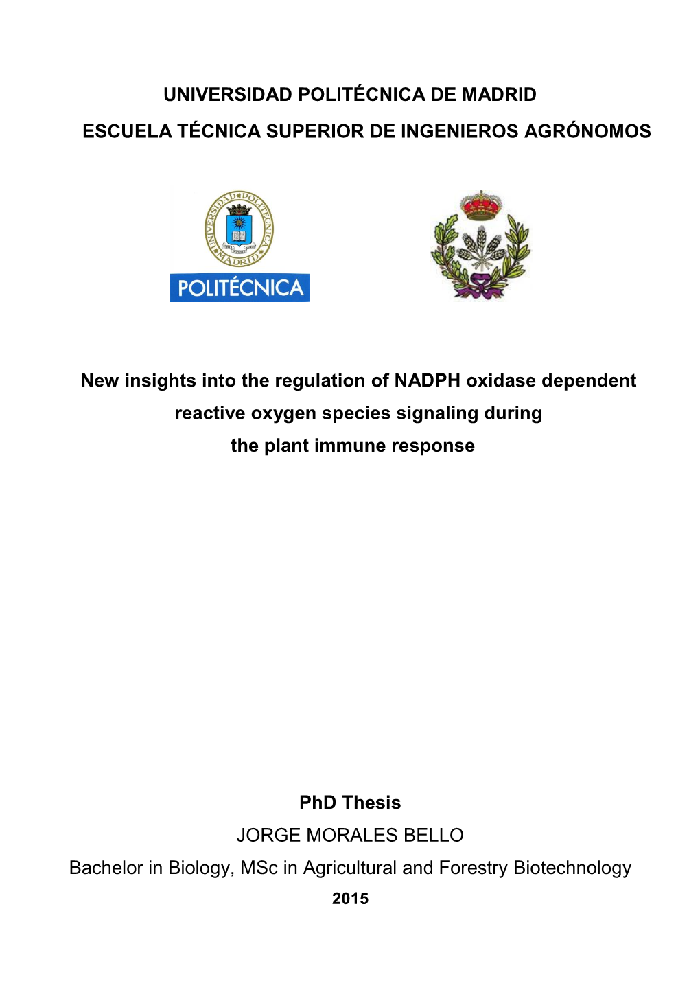 New Insights Into the Regulation of NADPH Oxidase Dependent Reactive Oxygen Species Signaling During the Plant Immune Response