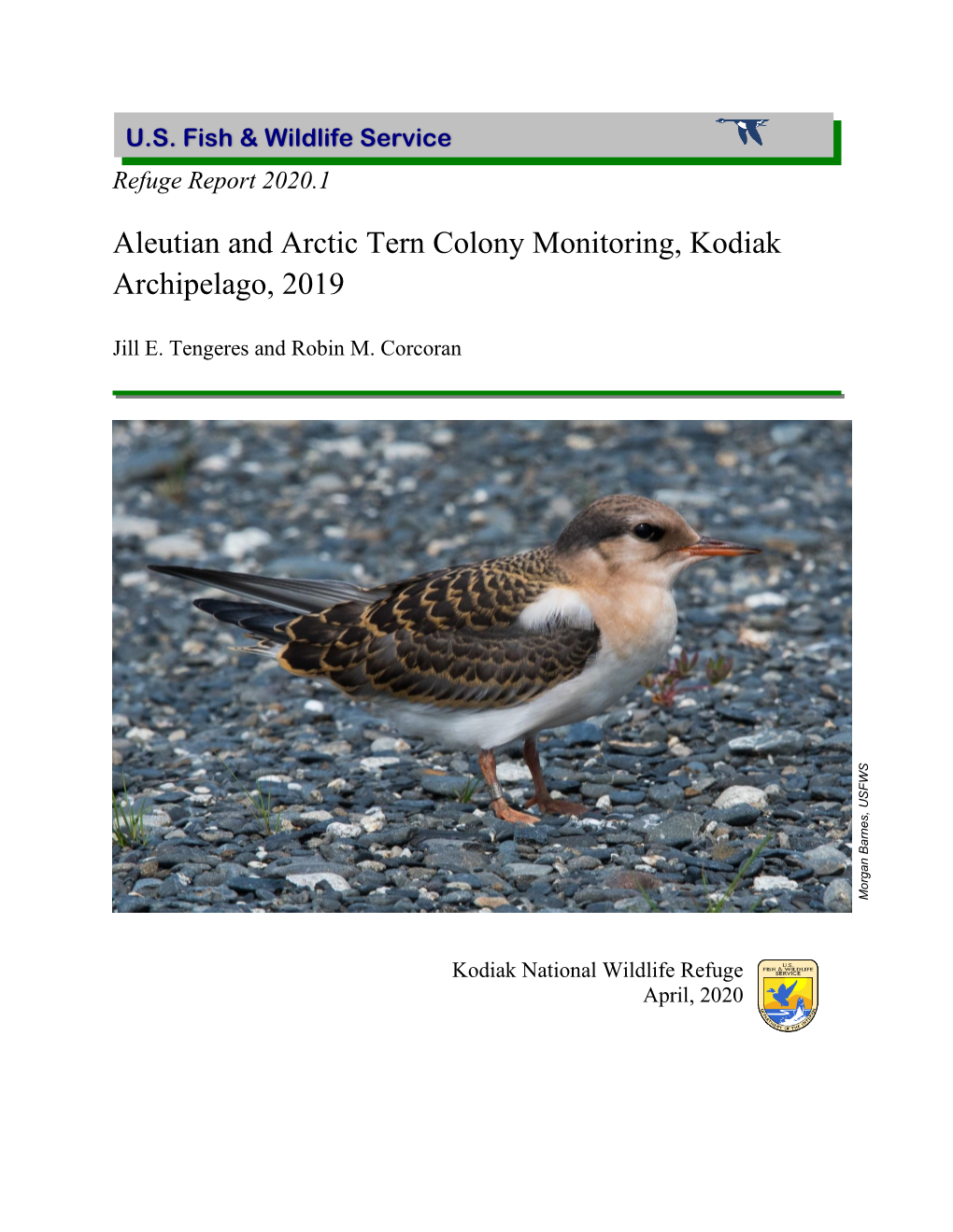 2019 Arctic and Aleutian Tern Monitoring Report