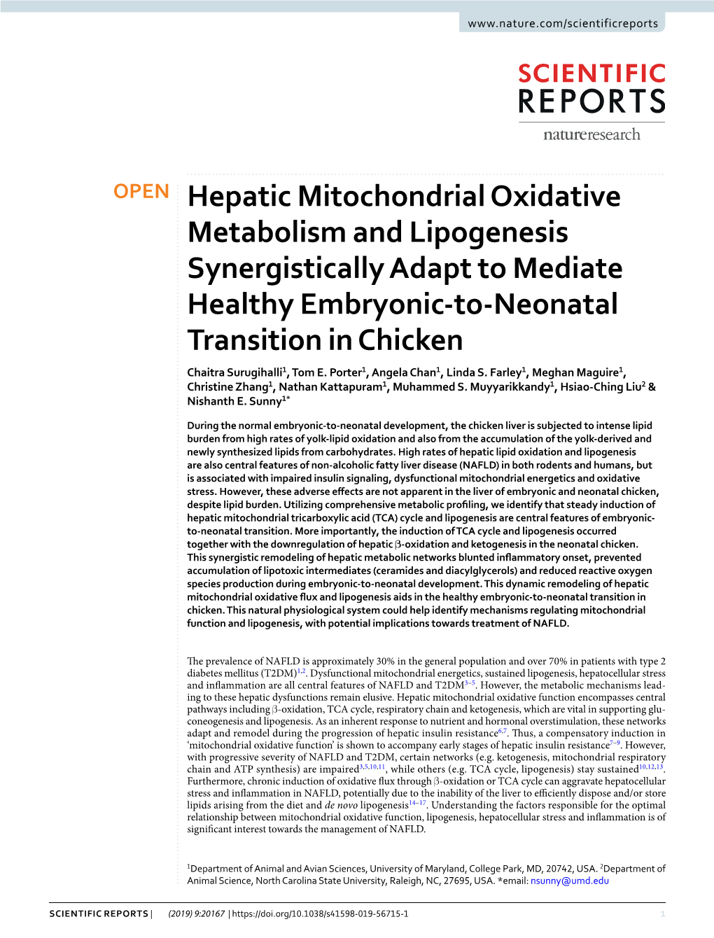 Hepatic Mitochondrial Oxidative Metabolism and Lipogenesis