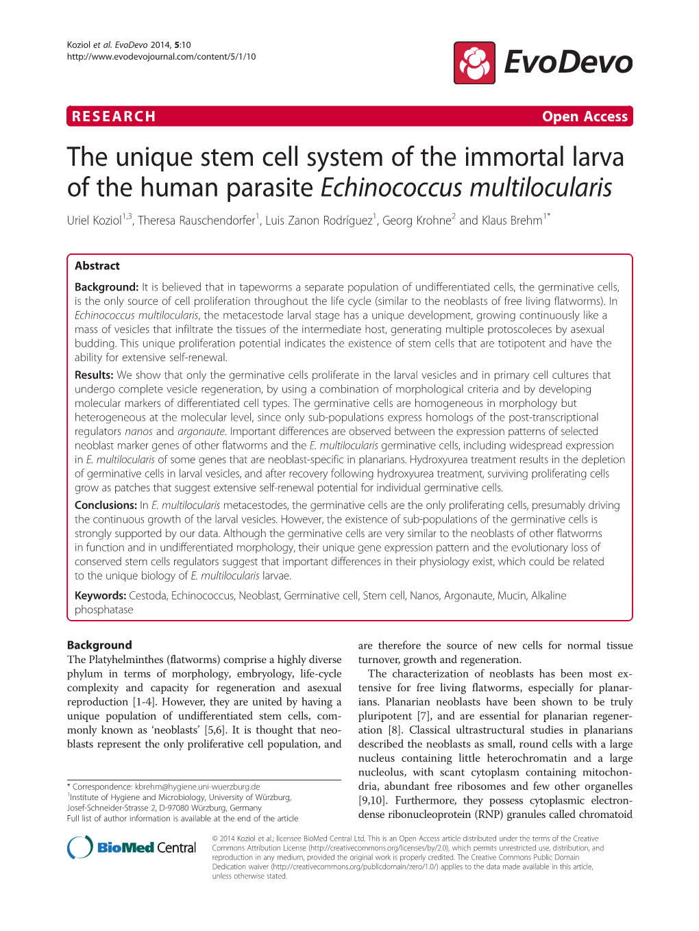 The Unique Stem Cell System of the Immortal Larva of the Human