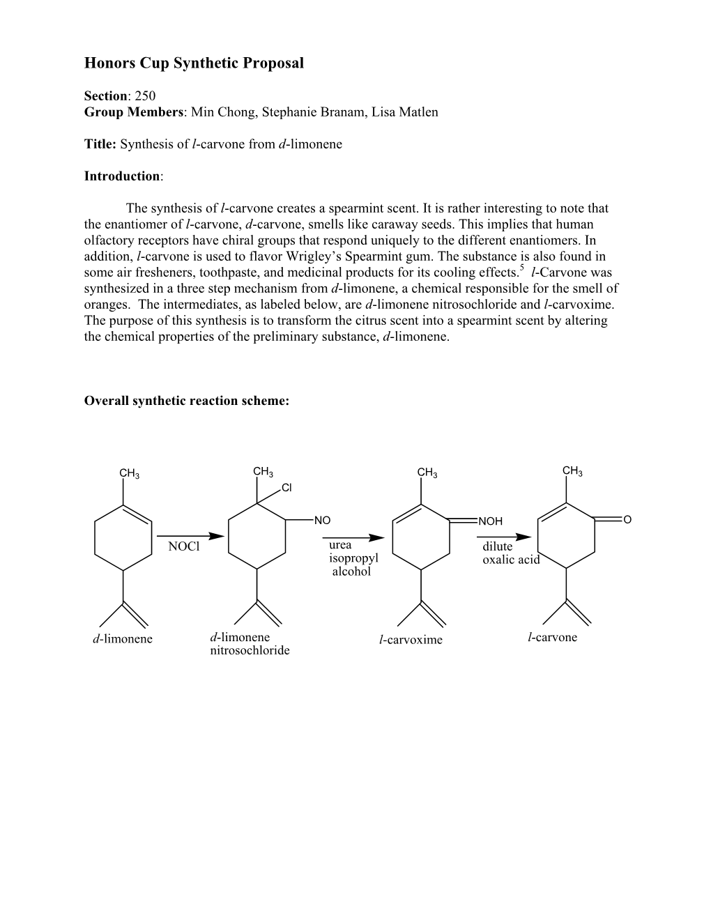 Honors Cup Synthetic Proposal