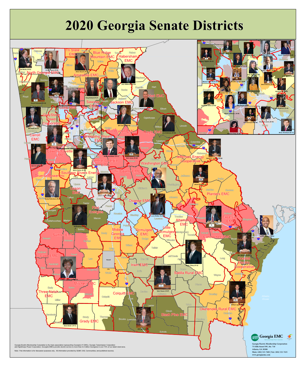 2020 Georgia Senate Districts