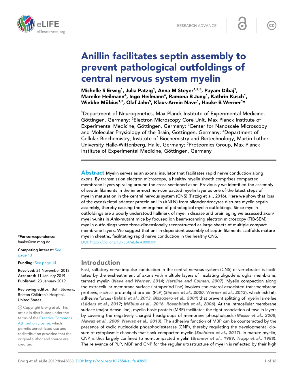 Anillin Facilitates Septin Assembly to Prevent Pathological Outfoldings Of